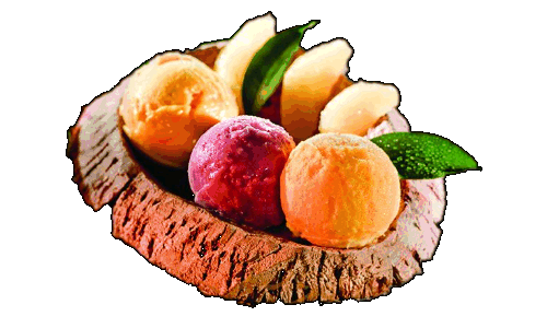 boules de sorbets